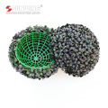 Sunwing outdoor anti-uv dark buxus grass ball for party decoration